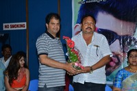 Danger Love Story Audio Launch